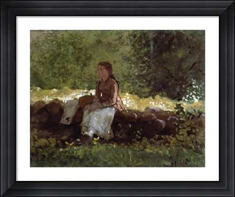 Framed On The Fence Print