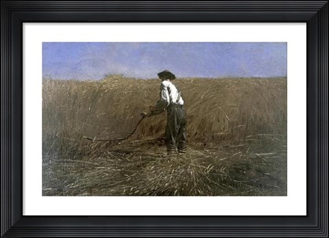 Framed Veteran in a New Field Print