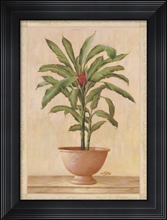 Framed Potted Palm I Print
