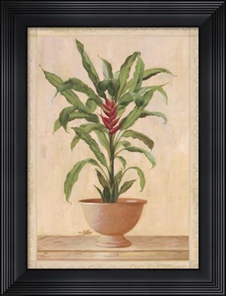 Framed Potted Palm II Print
