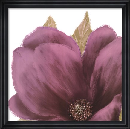 Framed Grandiflora Blush II Print