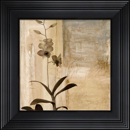 Framed Shadow Dance I Print