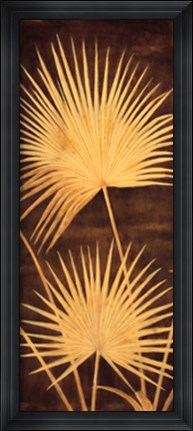 Framed Fan Palm Triptych II Print