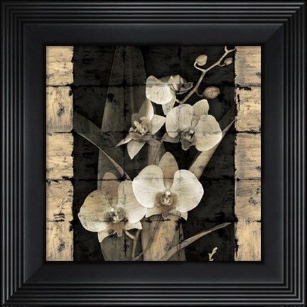 Framed Orchids in Bloom II Print