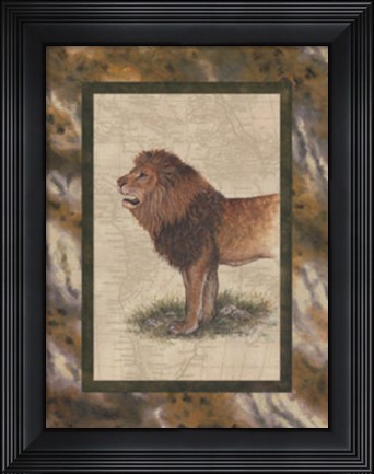 Framed Lion Print