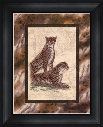 Framed Cheetahs Print