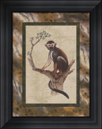 Framed Squirrel Monkey Print