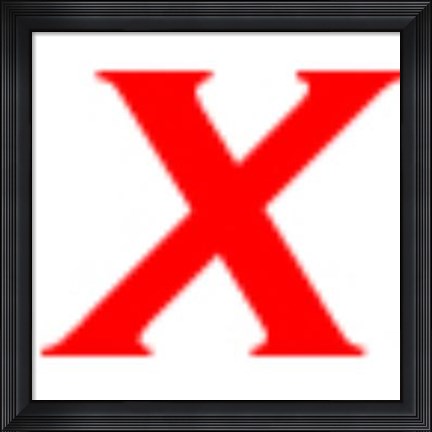 Framed Sunlit Rain forest I Print