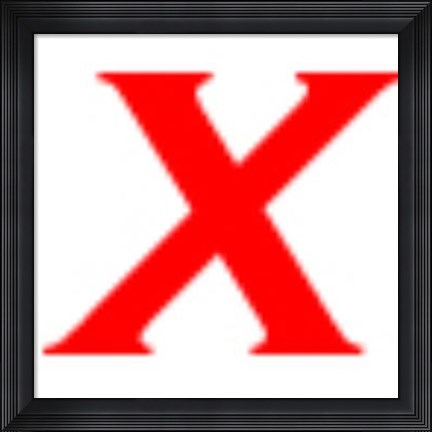 Framed Sunlit Rain forest II Print