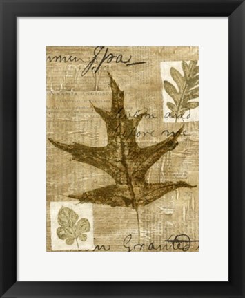 Framed Leaf Collage II Print