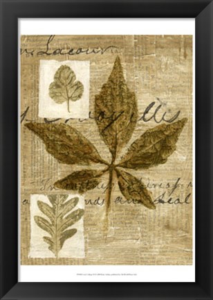 Framed Leaf Collage III Print