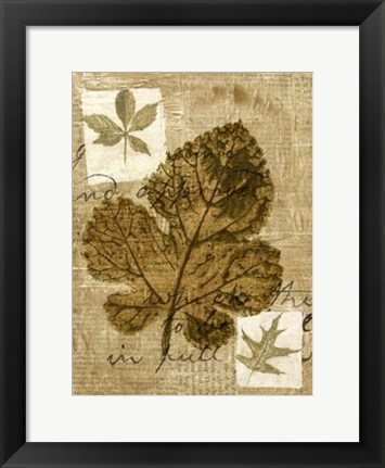 Framed Leaf Collage IV Print