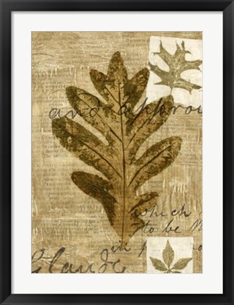 Framed Leaf Collage I Print