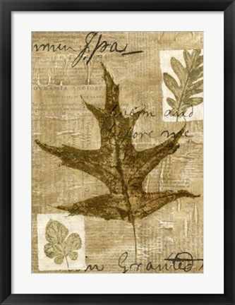 Framed Leaf Collage II Print