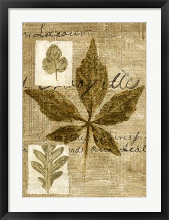 Framed Leaf Collage III Print