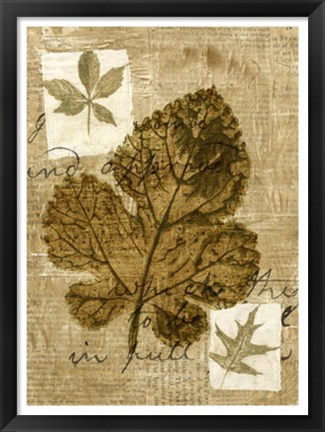 Framed Leaf Collage IV Print