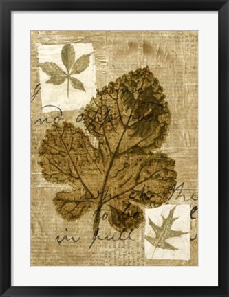 Framed Leaf Collage IV Print