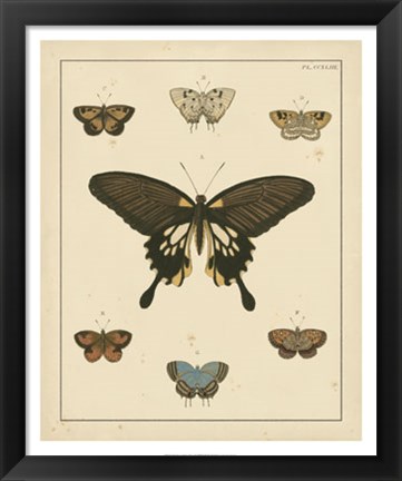 Framed Heirloom Butterflies I Print