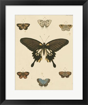 Framed Heirloom Butterflies I Print