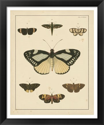 Framed Heirloom Butterflies II Print