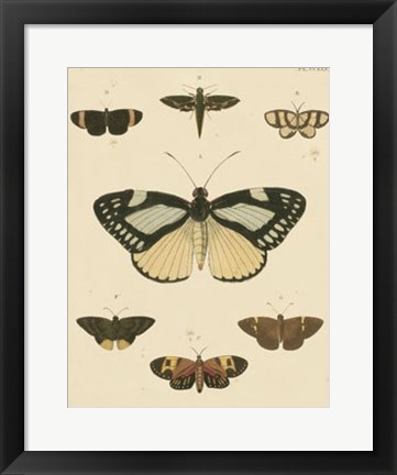 Framed Heirloom Butterflies II Print