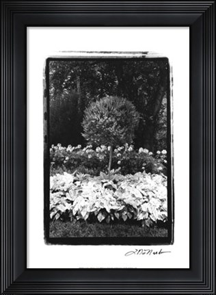 Framed Garden Hideaway II Print