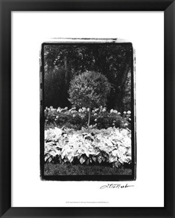 Framed Garden Hideaway II Print