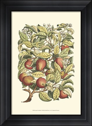 Framed Apple Tree Branch Print