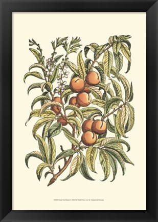 Framed Peach Tree Branch Print