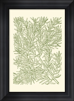 Framed Mossy Branches I Print