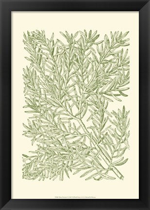 Framed Mossy Branches I Print