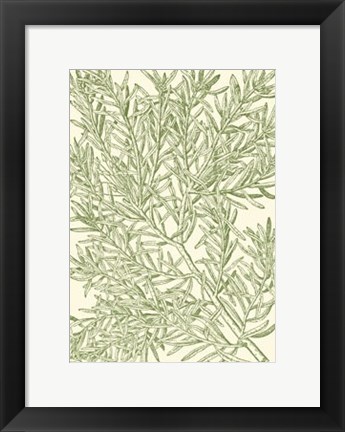 Framed Mossy Branches I Print