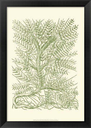 Framed Mossy Branches III Print