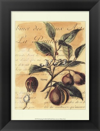Framed Nutmeg Print