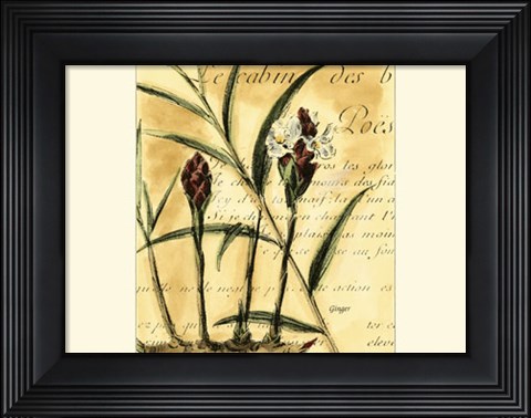 Framed Ginger Print