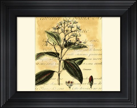 Framed Cinnamon Print