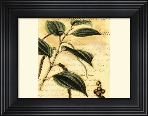 Framed Black Pepper Print