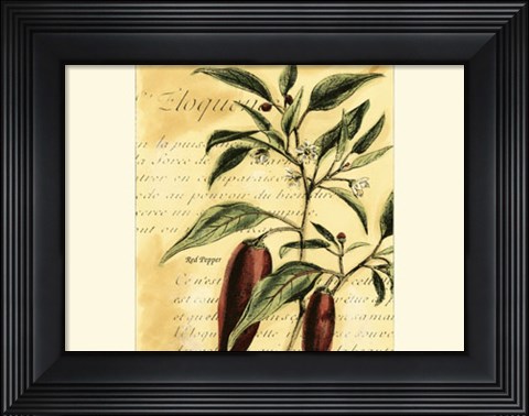Framed Red Pepper Print