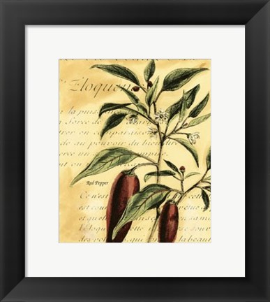 Framed Red Pepper Print
