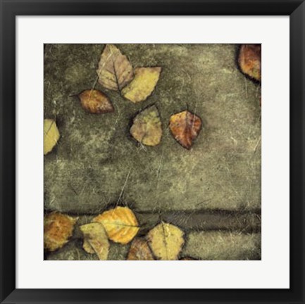 Framed Wet Pavement II Print