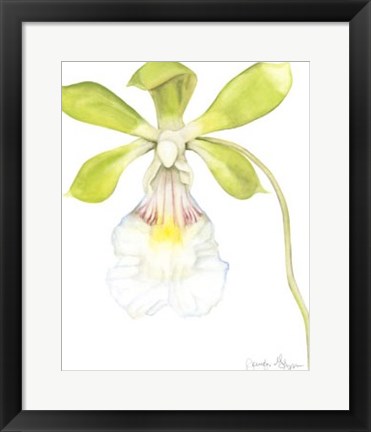 Framed Orchid Beauty I Print