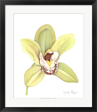 Framed Orchid Beauty II Print
