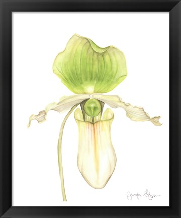 Framed Orchid Beauty IV Print