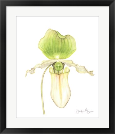 Framed Orchid Beauty IV Print