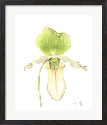 Framed Orchid Beauty IV Print