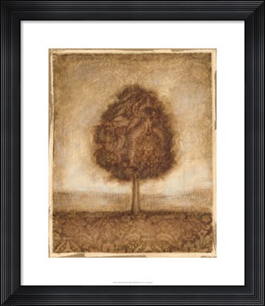 Framed Patterned Maple II Print