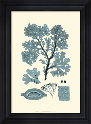 Framed Azure Seaweed I Print