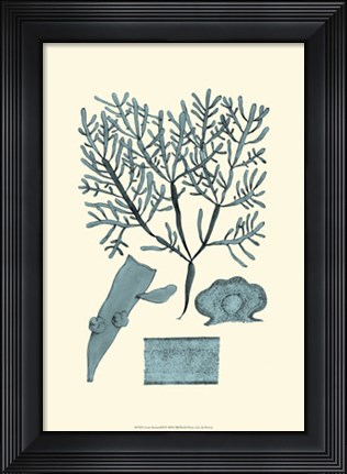 Framed Azure Seaweed II Print