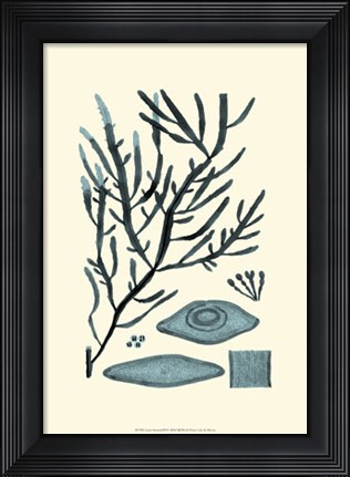 Framed Azure Seaweed III Print