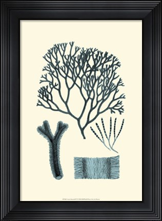 Framed Azure Seaweed IV Print